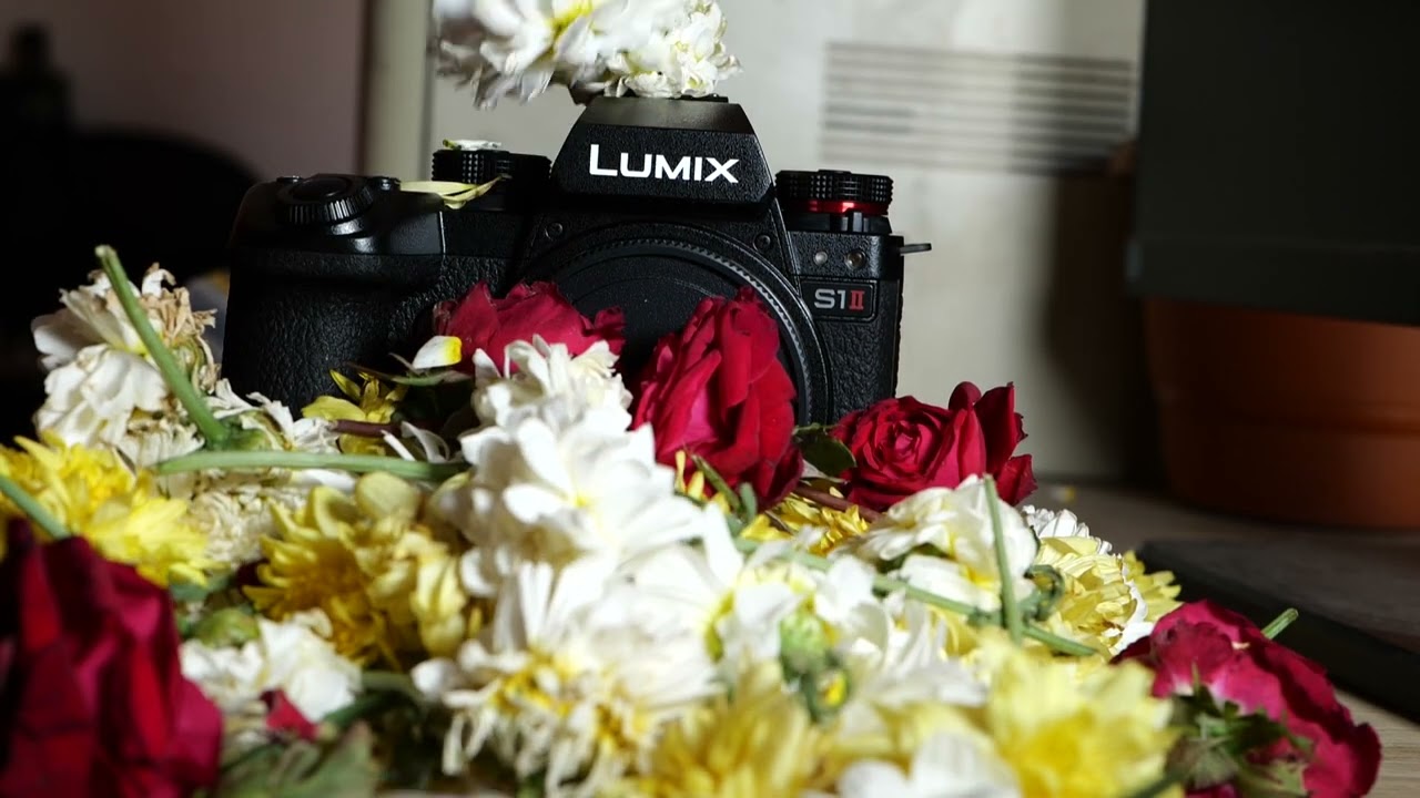 New camera Lumix S1ll 
