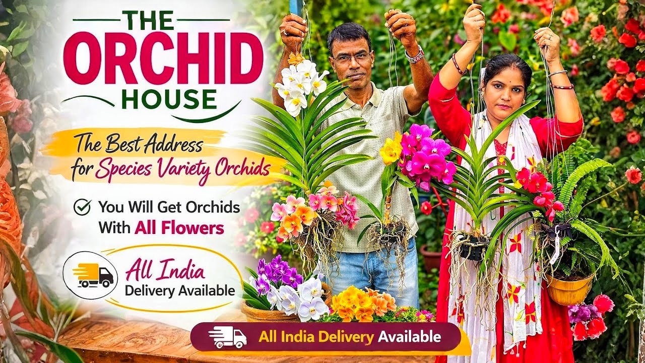 নিজের পছন্দ মতো নার্সারি এসে বা বাড়িতে বসেই পেয়ে যাবেন ফুল সহ অর্কিড / The Orchid House 