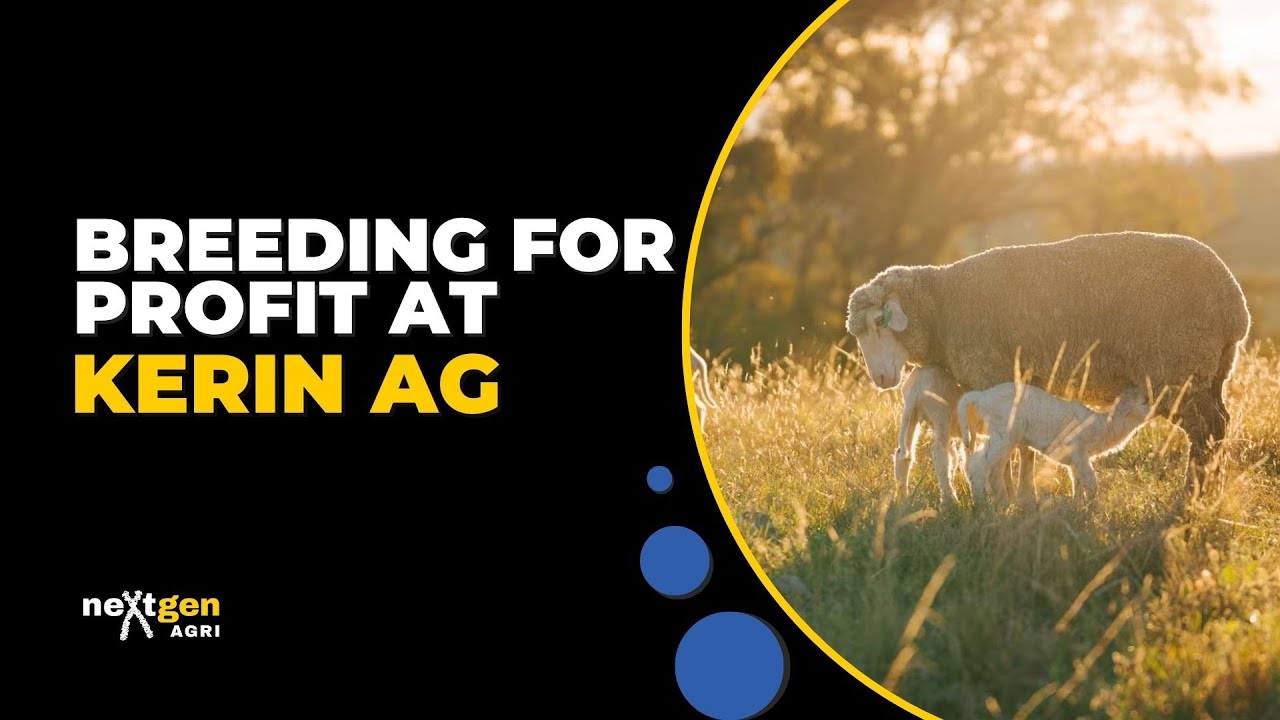 Breeding for profit at 