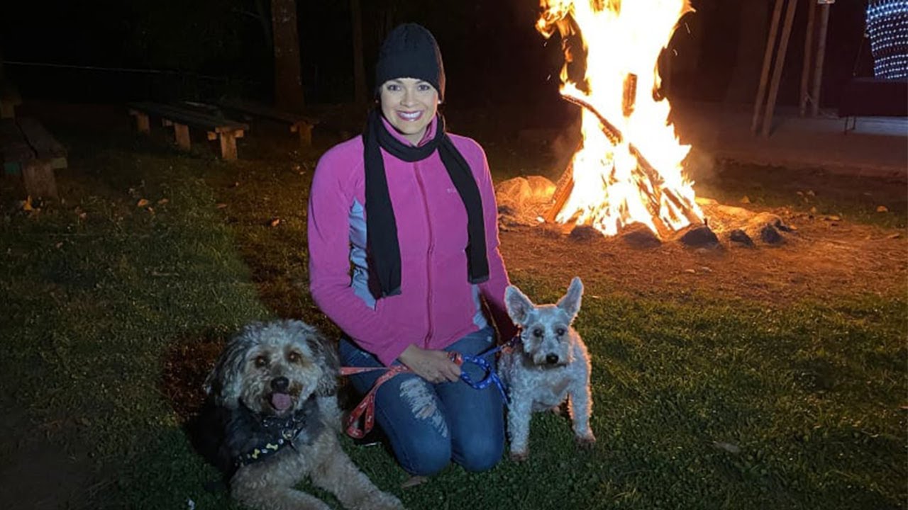 Campamento Oikoumene: cabañas, senderos y paseo con los perros