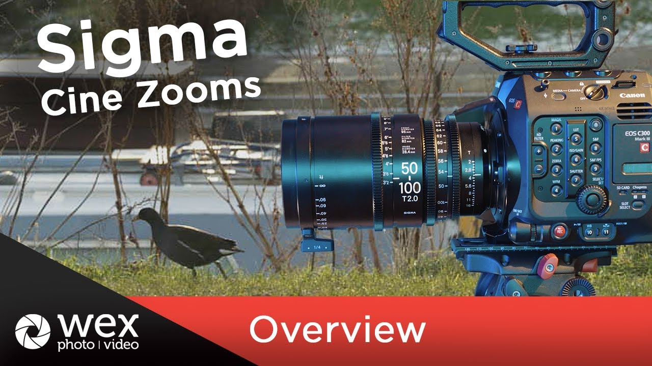 Sigma Cine Zooms | Demo footage and Overview