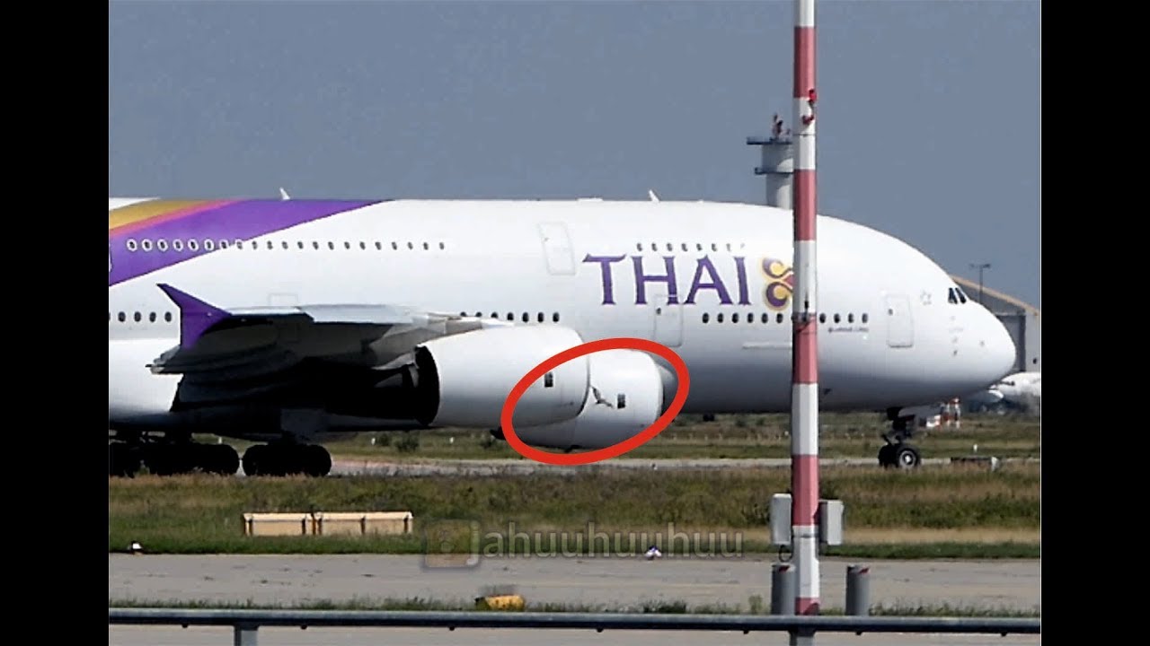 Bird strike - Thai Airways HS-TUF A380 Frankfurt Airport (FRA/EDDF)