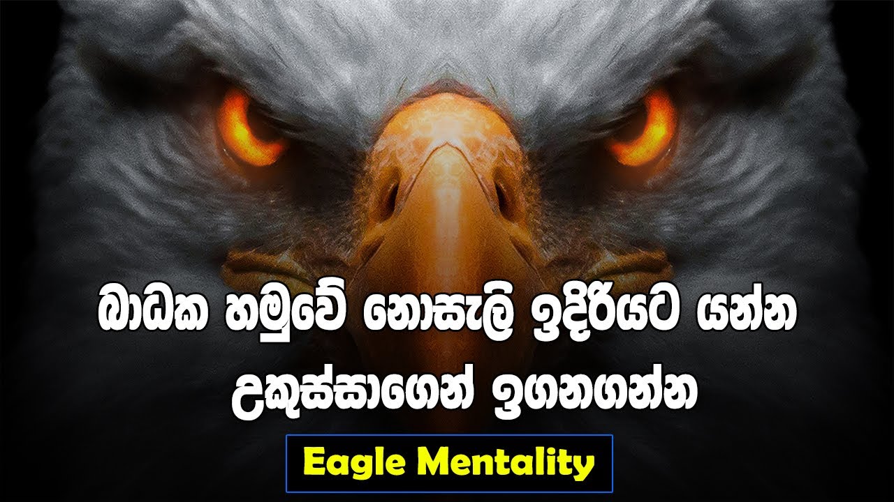 Eagle Mentality | Sinhala Motivational Video