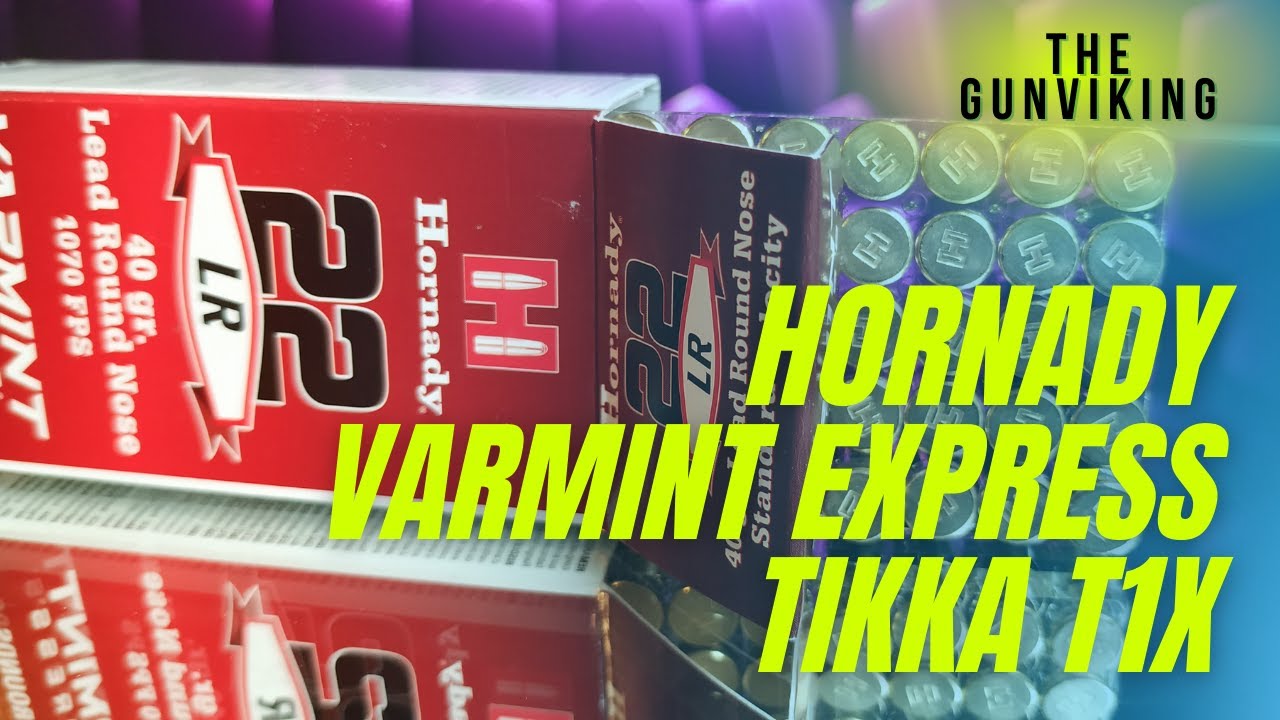 Hornady Varmint Express .22LR – Surprisingly Accurate? Suppressed Bergara BXR Review 🇺🇸