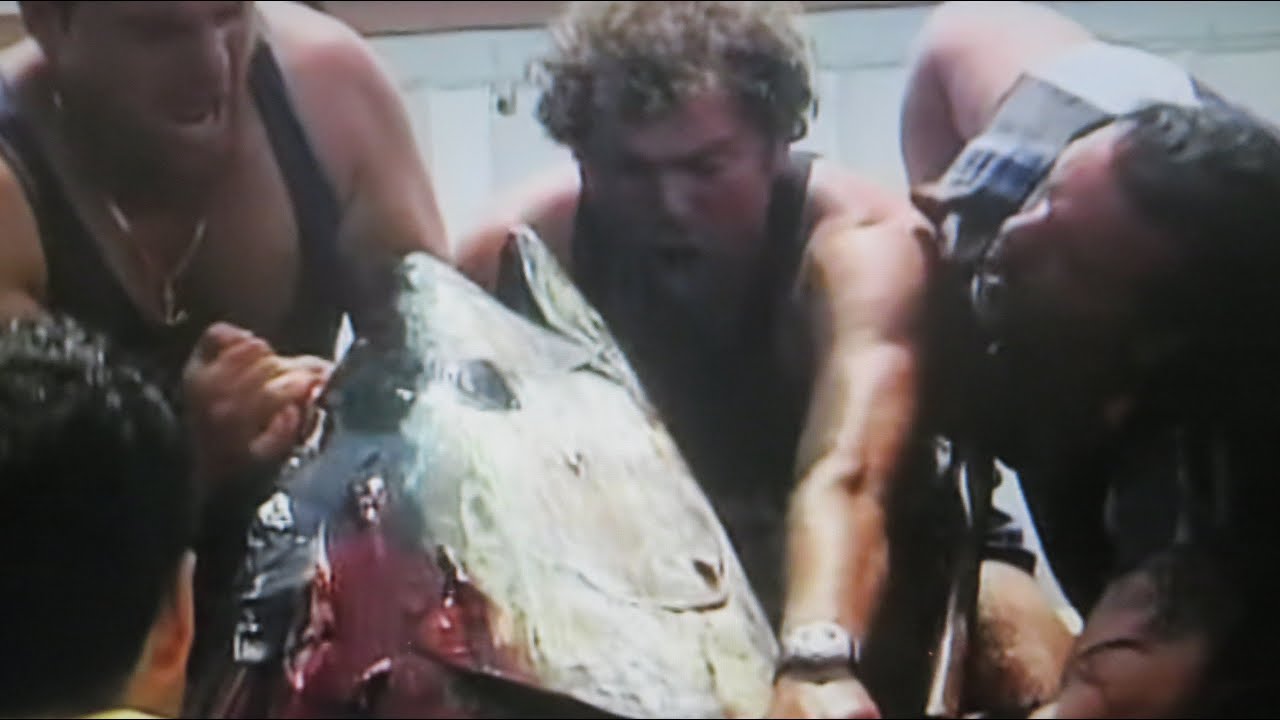 BLUEFIN TUNA catch -TUNA fishery Favignana, Sicily 2000 