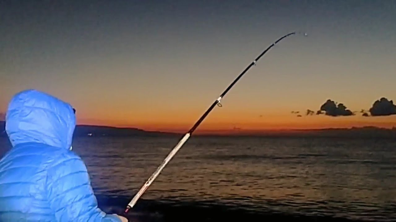 UN MOSTRO! In canna da SURFCASTING di Giuseppe.. Io innesco un TOTANO🦑🦑