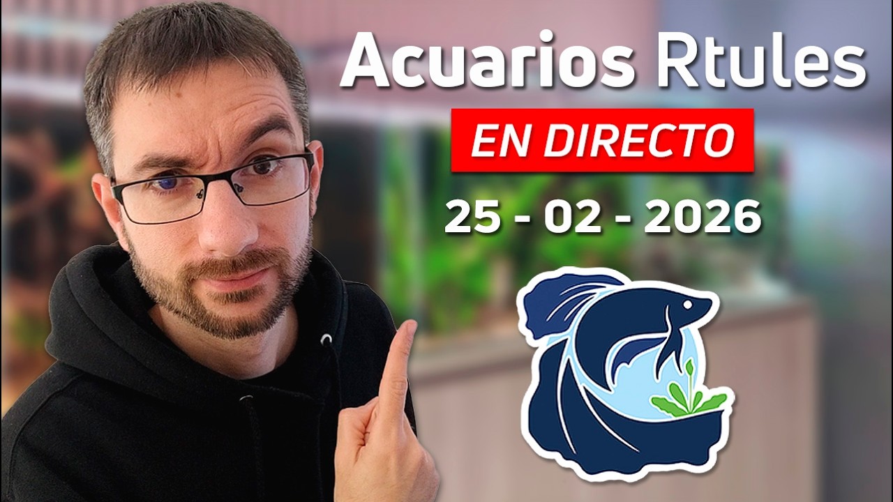 🔴 Tarde de Acuarios en Directo | Un Rato Entre Acuaristas