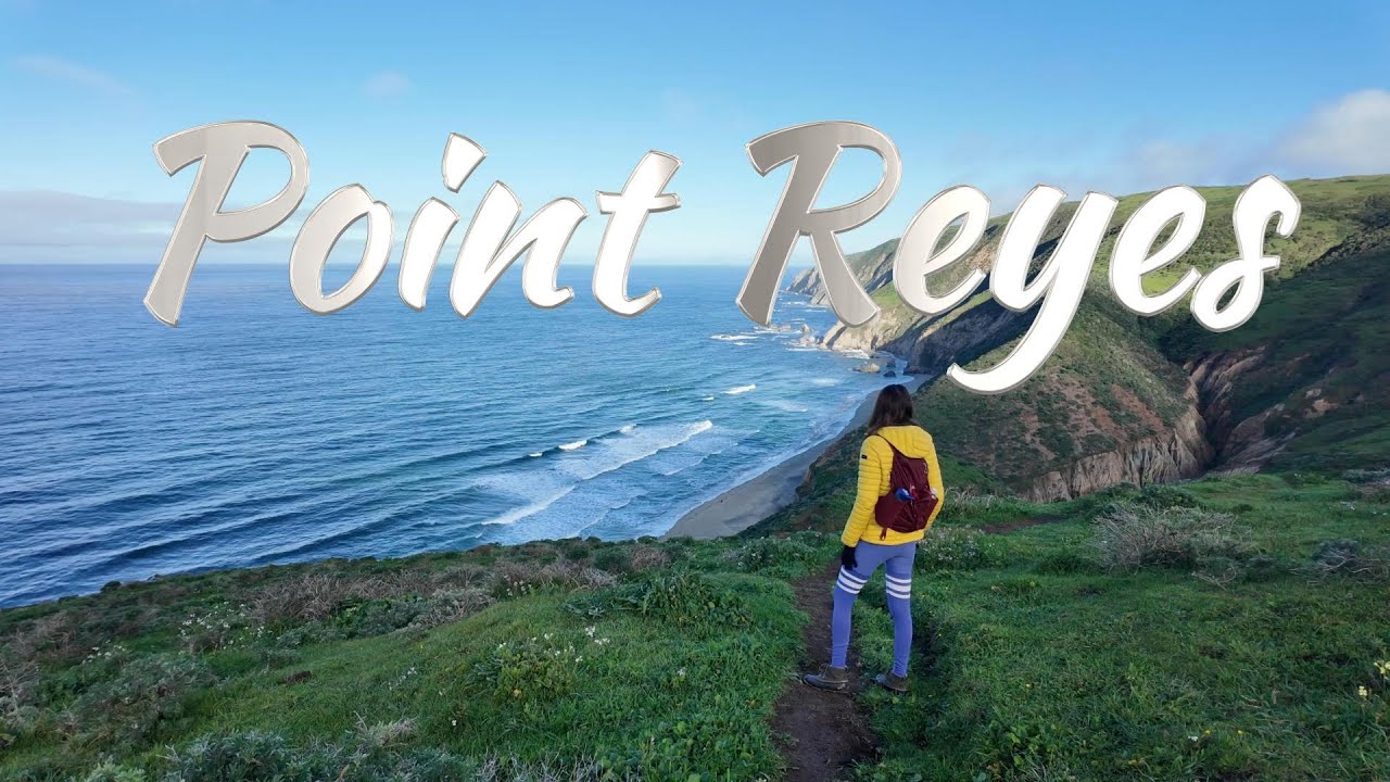 RUGGED AND RAW CALIFORNIA COAST Amazing Cliffs, Elk and Stunning Beaches at Point Reyes