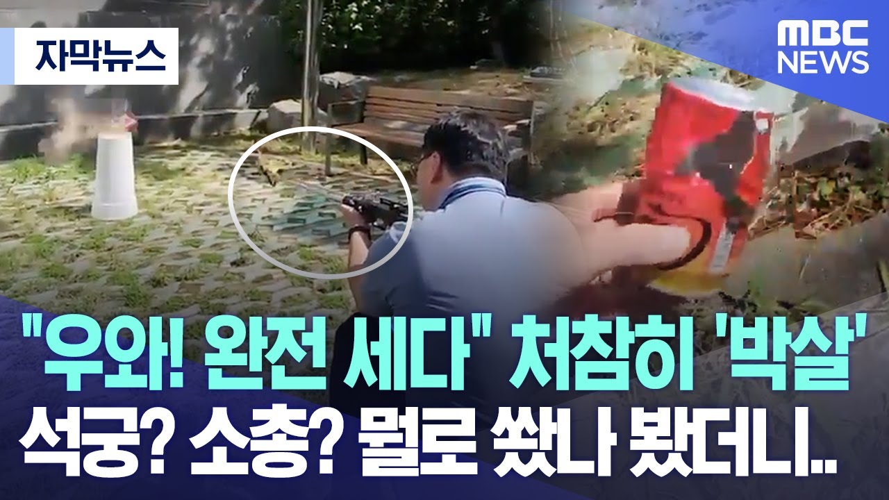 [자막뉴스] 