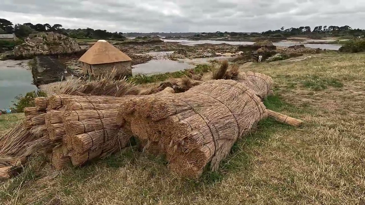 L'île de Bréhat, ses jolis sentiers, les beaux paysages et la baignade au paradis (Partie sud)