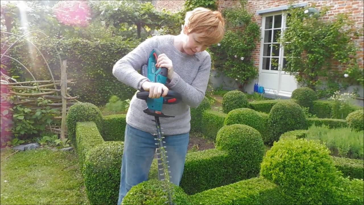 Renate snoeit de Buxus