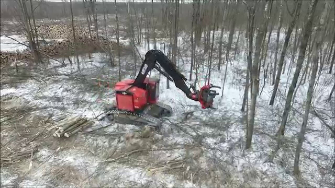 Timberpro TN725C with Kodiak TH24 fixed processing head