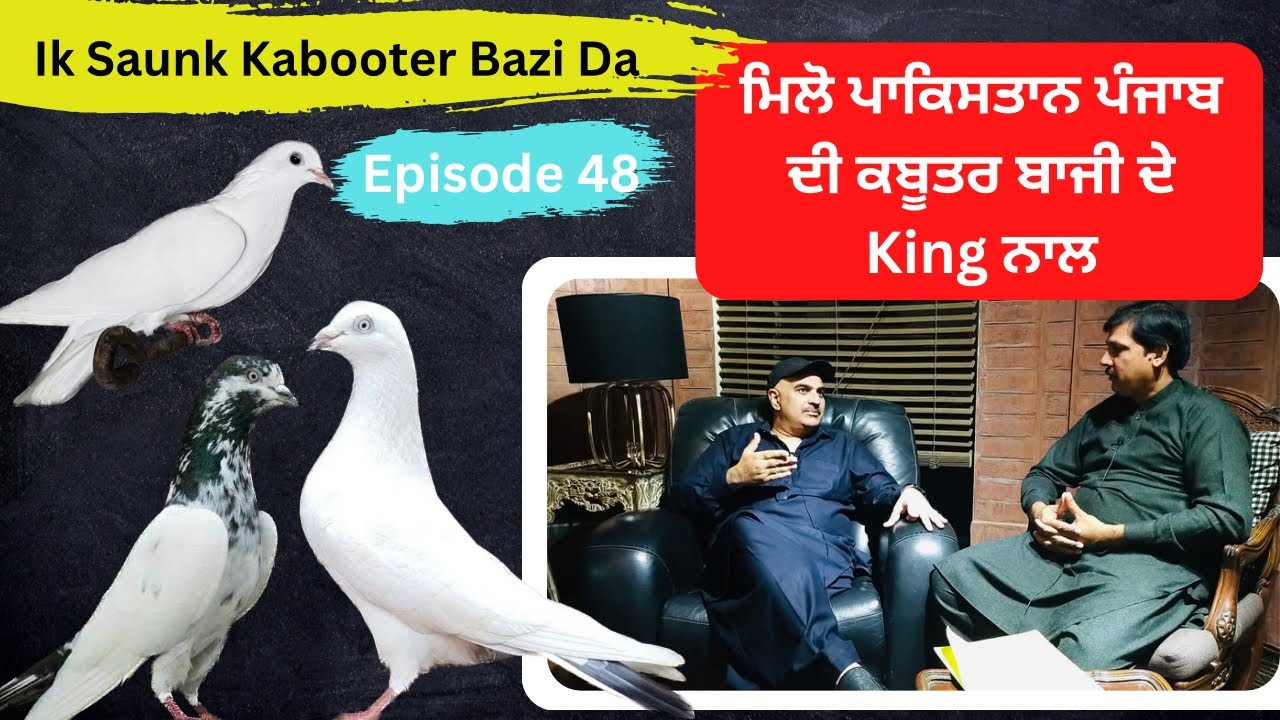 Ik Saunk Kabooter Bazi Da || Episode 48 || Mian Hasnain Haider Sheikh King Of Pakistan Kabooter Bazi