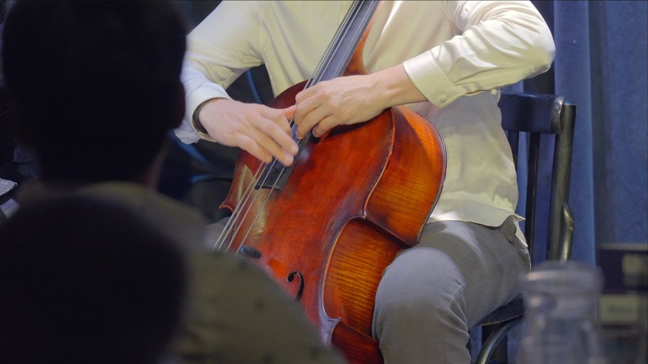 A novel hybrid instrument: THE BASS CELLO
