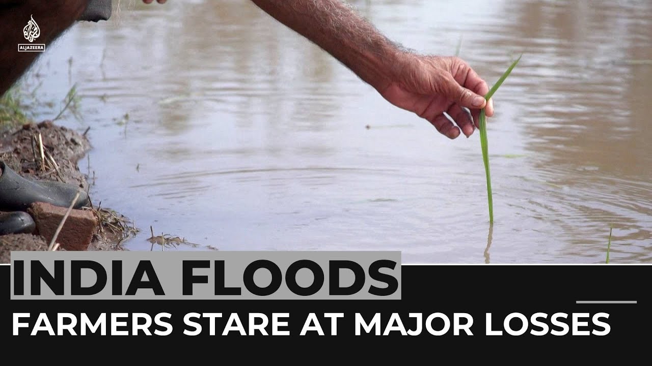 India's monsoon floods: Farmers stare at major losses