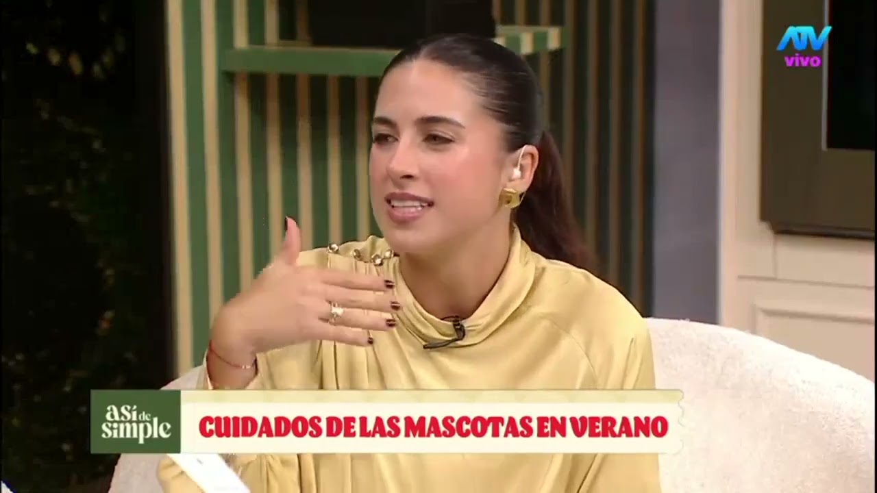 ¿Tu perro jadea y saliva en exceso? Podría estar entrando en shock de calor