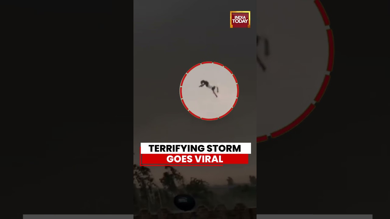 VIRAL VIDEO | Bareilly Storm Goes Viral as it Causes Widespread Damage #viral #bareilly