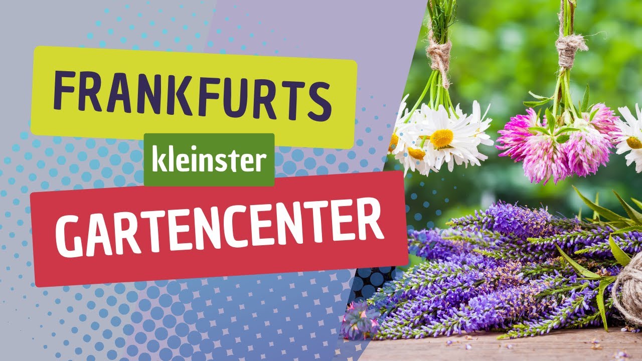 Frankfurts kleinster Gartencenter | Samen Andreas seit über 150 Jahren in Frankfurt