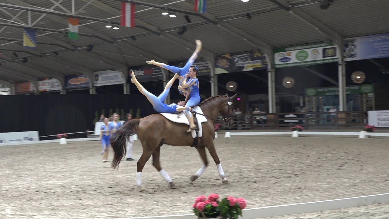 RFV Schwegenheim final freestyle