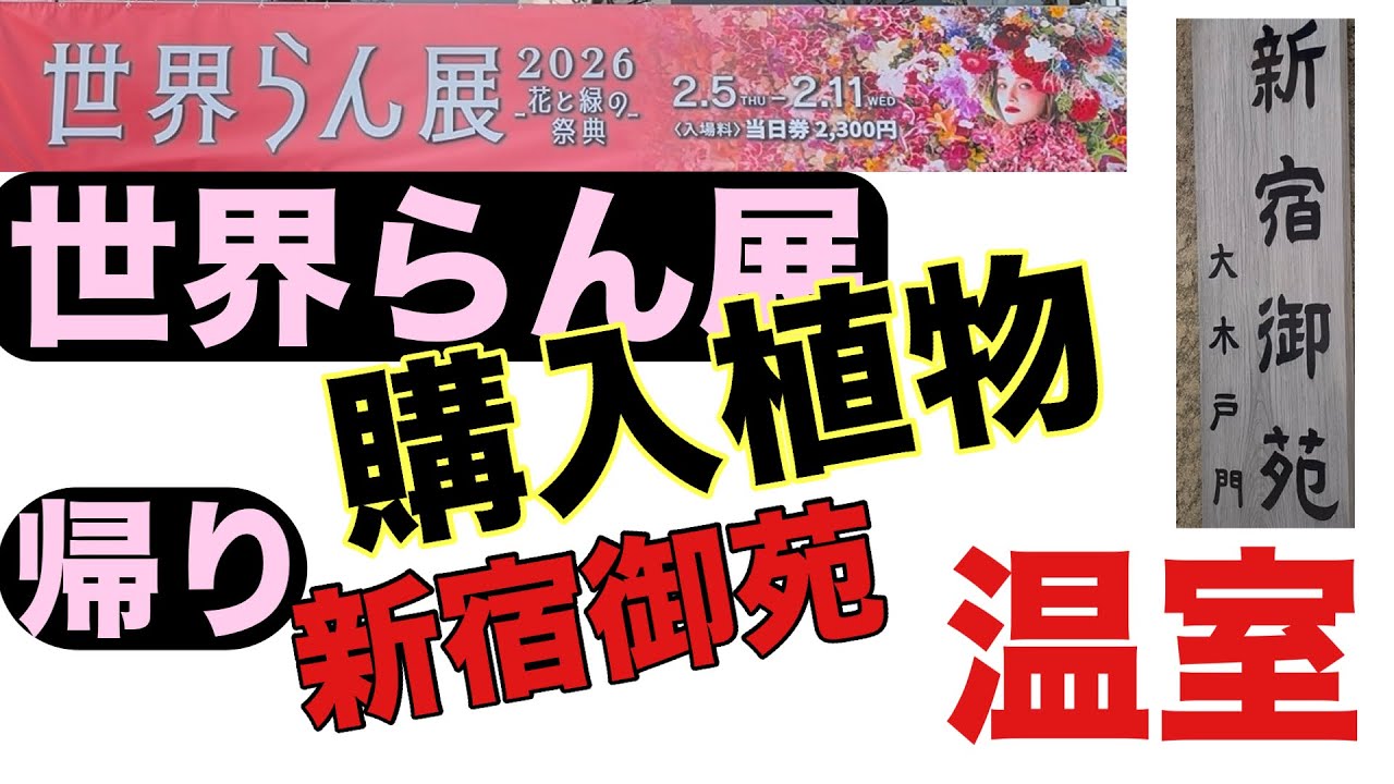 【世界らん展2026】人多すぎ！撮影中止でも激安植物をゲットして新宿御苑でワクワク