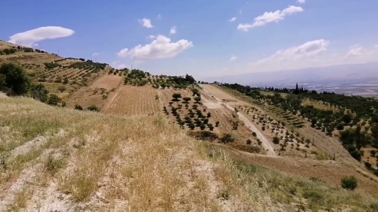 يا سهل البقاع ❤️🌹