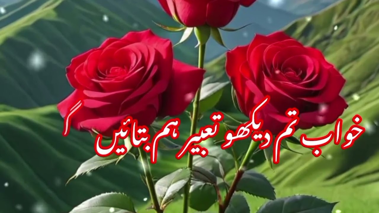 #urdupoetry #viralvideo #trendingvideo #lovestatus #love #heartbroken #lovestatus #viral #trending 