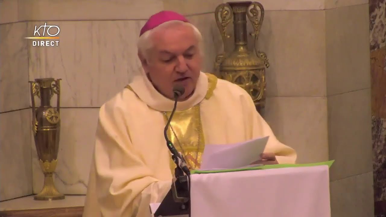 Homélie de Mgr Aveline en la solennité de l'Immaculée Conception