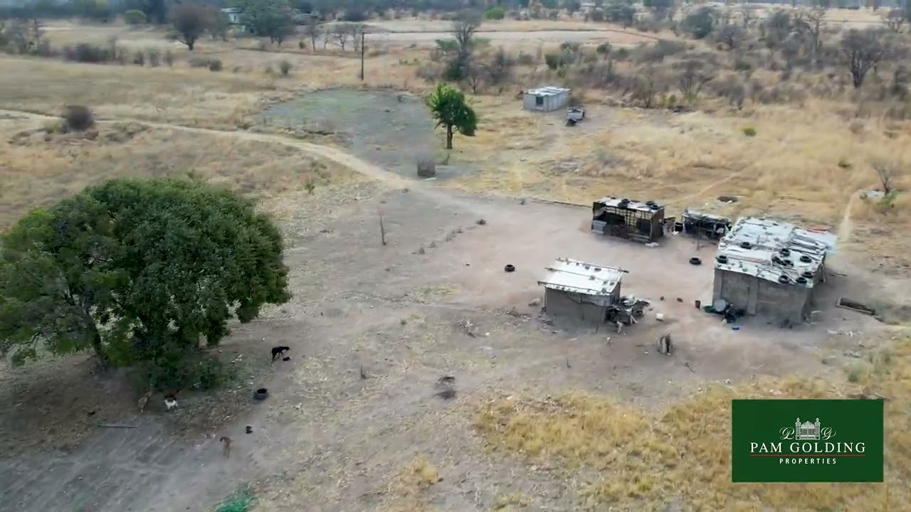 Norwood, Umguza