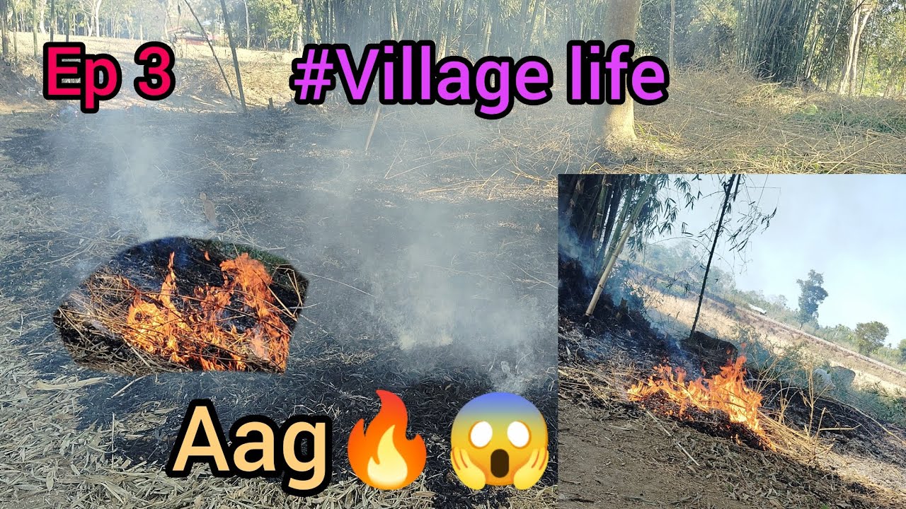 Aag kaise lag gai bamboo tree mei 😱🔥??// Village life exploring with sister//