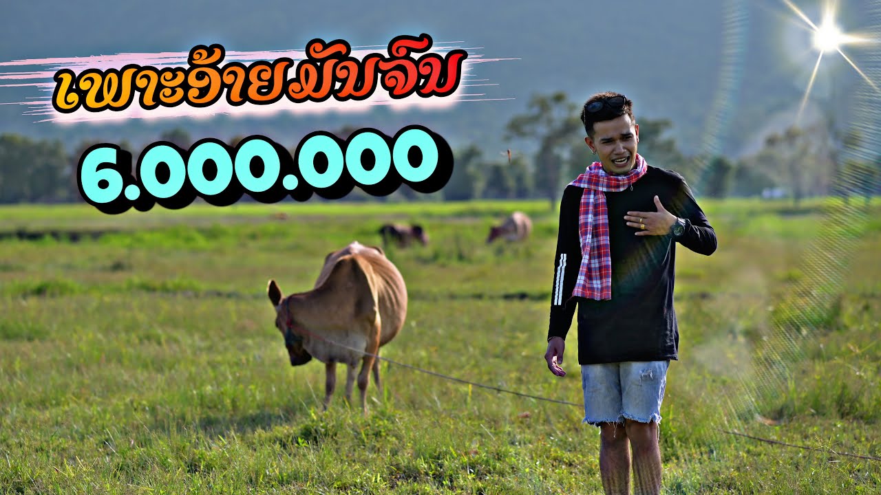 ເພາະອ້າຍມັນຈົນ เพราะอ้ายมันจน Bigyai ແບກຶ x Heo vvk [Official MV]