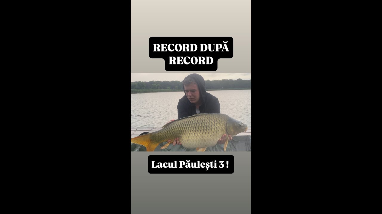 Record După Record ! Lacul Păulești 3 - Pescuit La Crap -