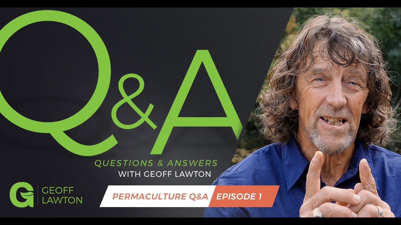 Dealing with Mosquitoes and Reading the Landscape | Permaculture Q&A