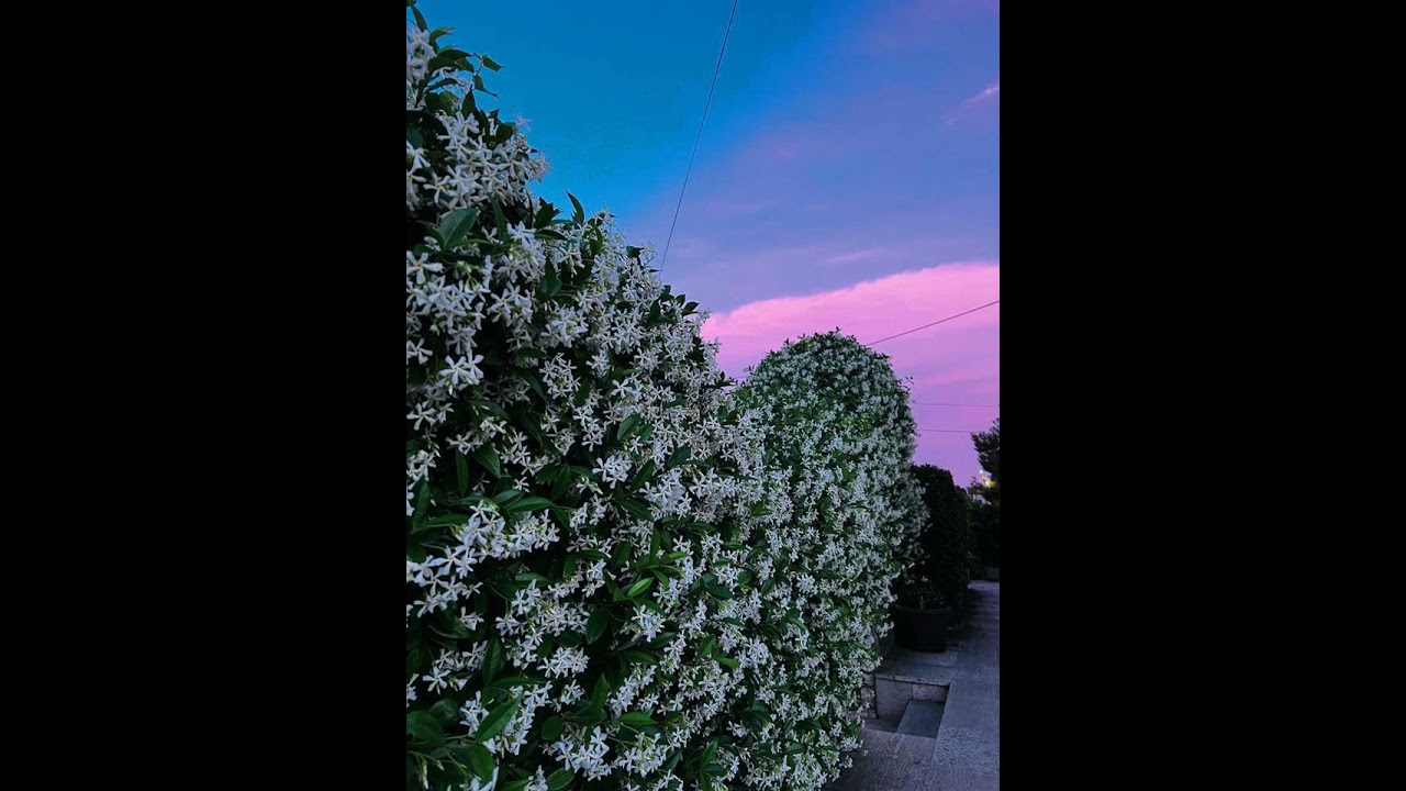 October Theme (slowed + Reverbed)