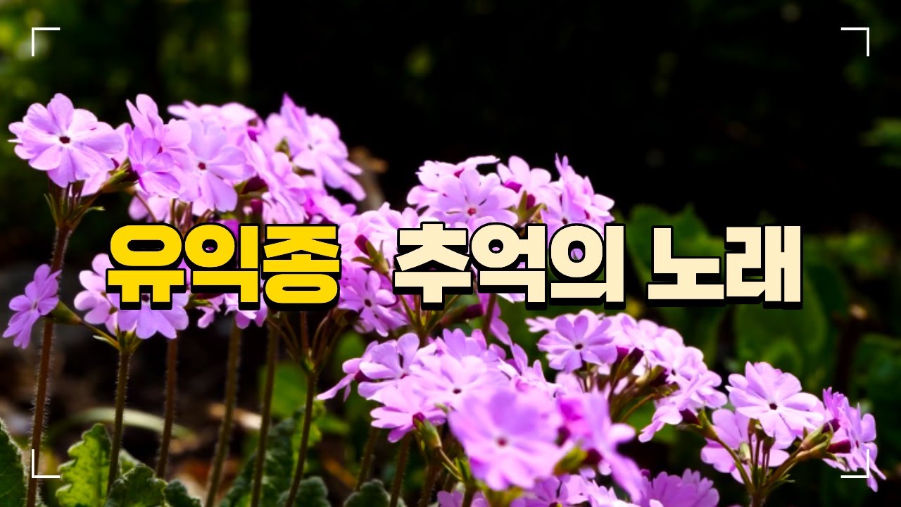 유익종 추억의 노래 #유익종 #7080 #추억의노래