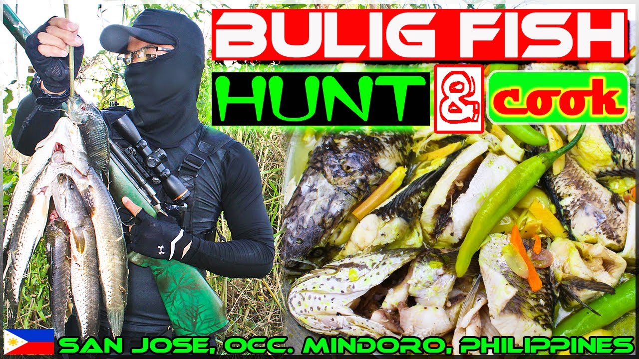 EP40 - Bulig Hunt and Cook + Cassava Harvest