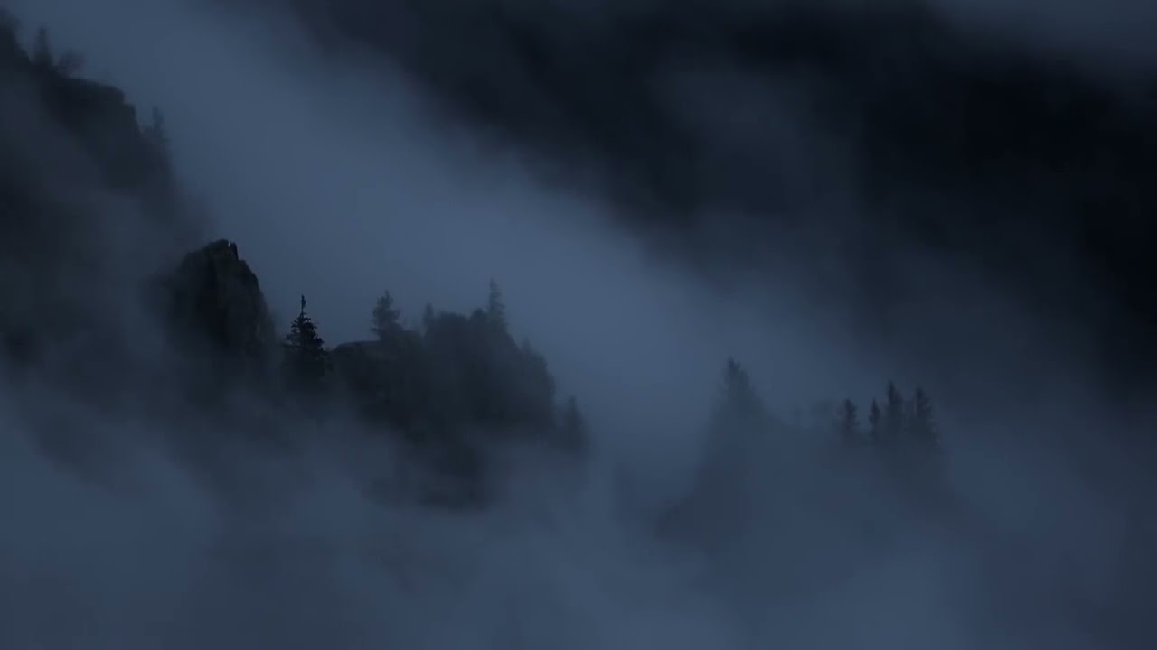 Le Silence des Bêtes - Vincent Munier