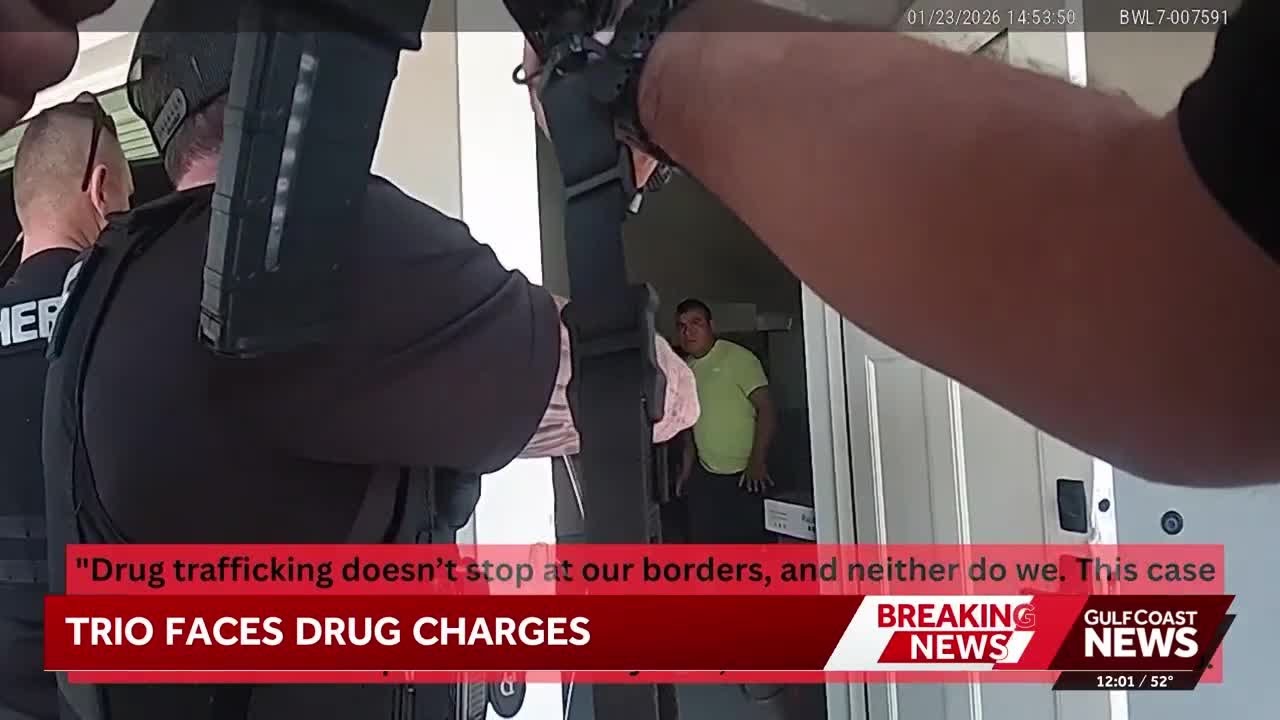 Bonita Springs trio accused of importing and selling pain pills