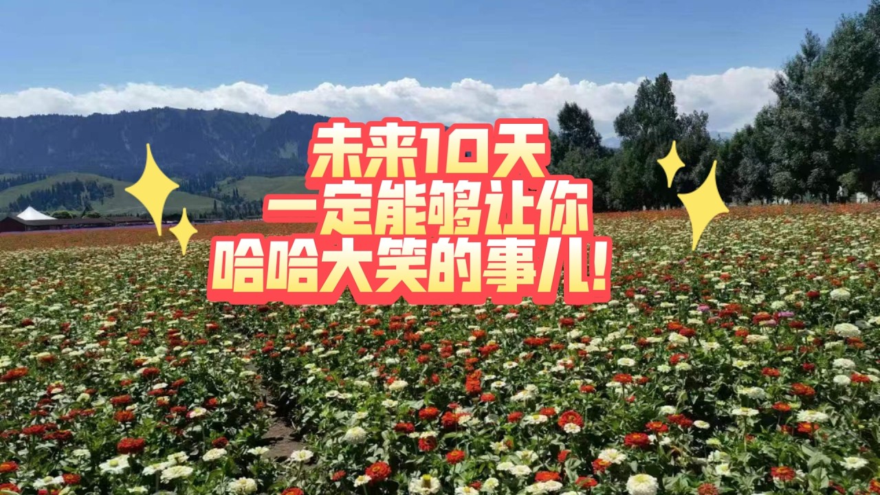 未来10天一定能够让你哈哈大笑的事儿！（不限时空 不限关系）