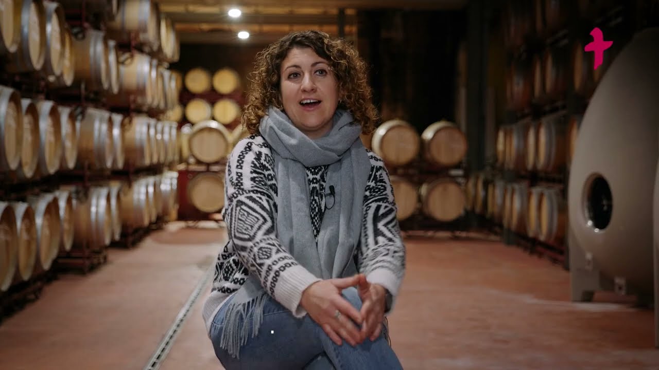 20 Aniversari de la DO Montsant. La veu dels cellers