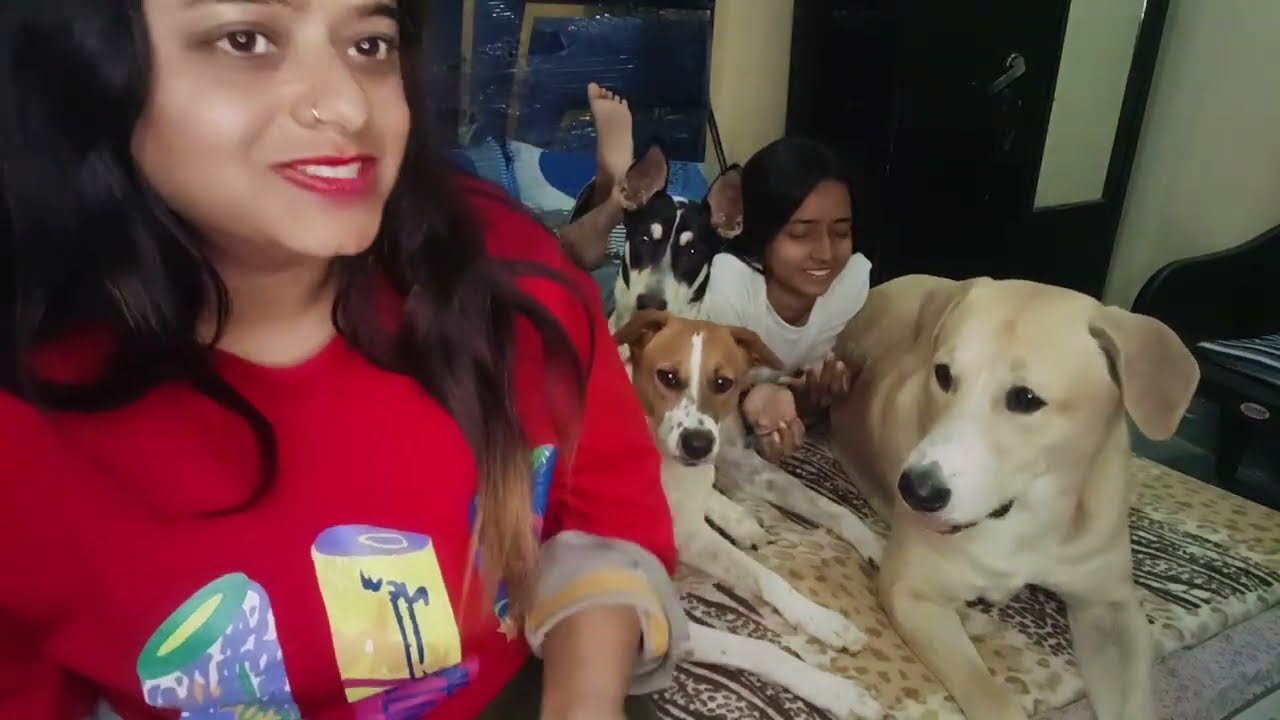Desi ghee 🫙ke laddu 😋 the bohot hi majedar aur tasty mere bruno 🐕 ko bhi pasand hai 🏡🌺🌹🫰🏻❤️ #vlogs 