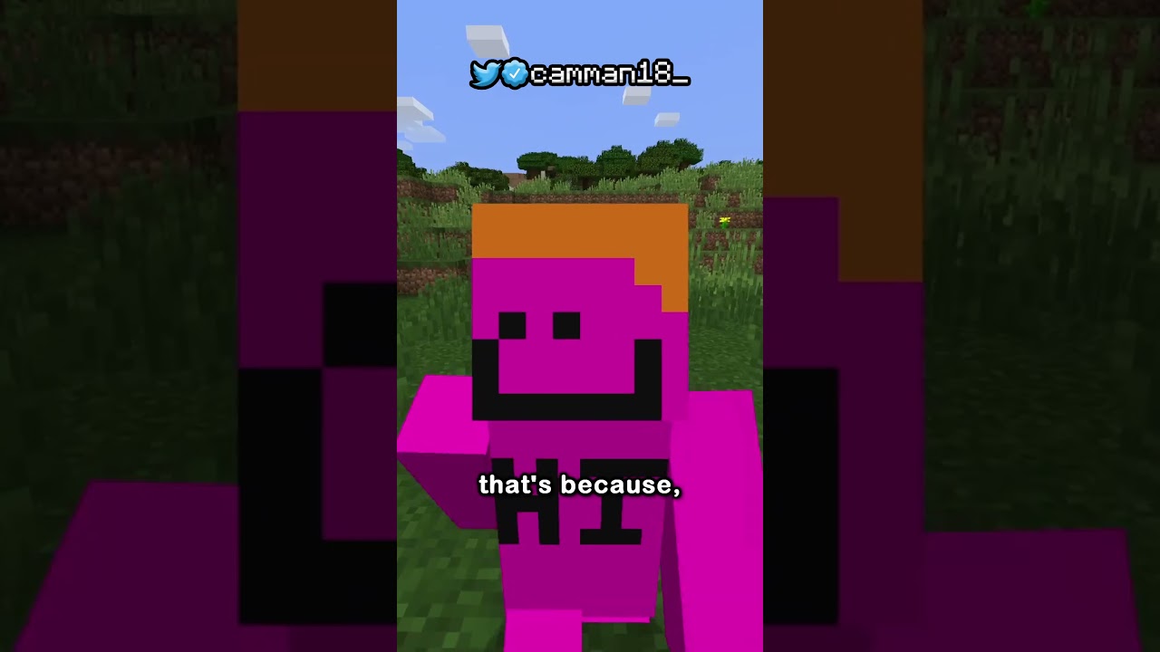 The Rarest Chest in Minecraft...