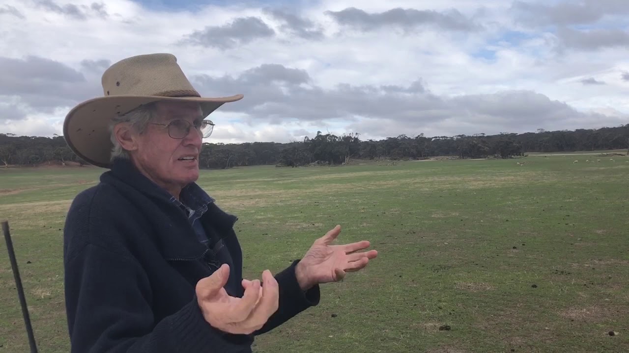 neXtgen Agri interview with Dawson Bradford, Hillcroft Farms Ultrawhite