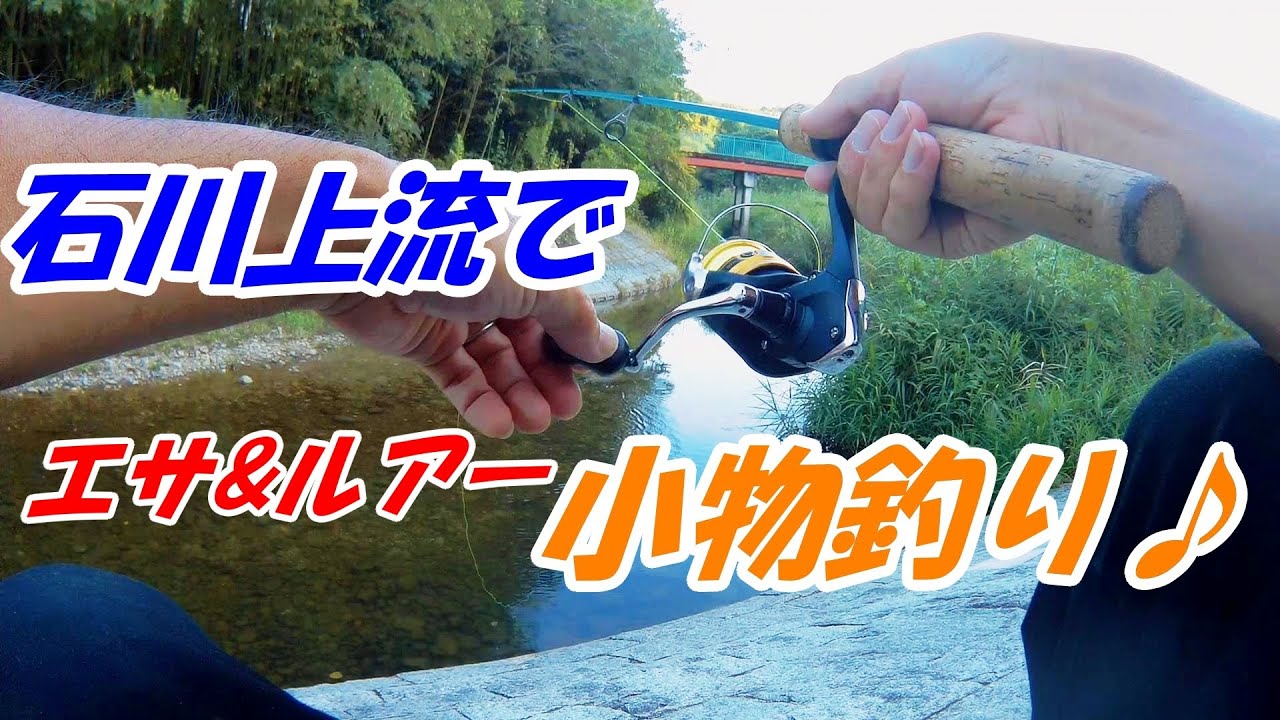 【大阪小物釣り 楽しい】ヤバい！道の駅「くろまろの郷」無料駐車場からすぐの石川上流にて鱒レンジャーでカワムツ釣り！花の文化園でチャビング？アウトドアキャンプもファミリー水遊びもOK！