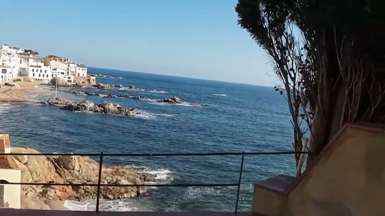 dji mimo 20251217 140030 20251217135759 1766000722691 video
