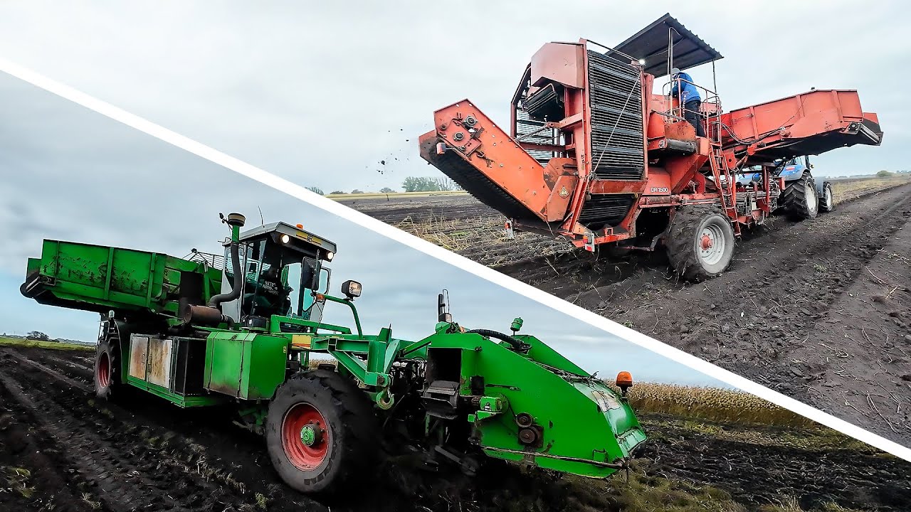 JAKI KOMBAJN DO ZIEMNIAK&Oacute;W? SAMOBIEŻNY vs. CIĄGANY
