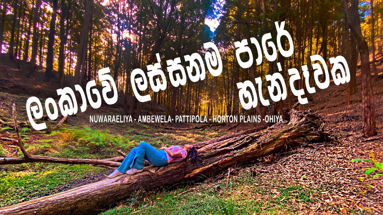 ලංකාවේ ලස්සනම පාර : Nuwara Eliya, Ambewela, Pattipola, Horton Plains, Ohiya