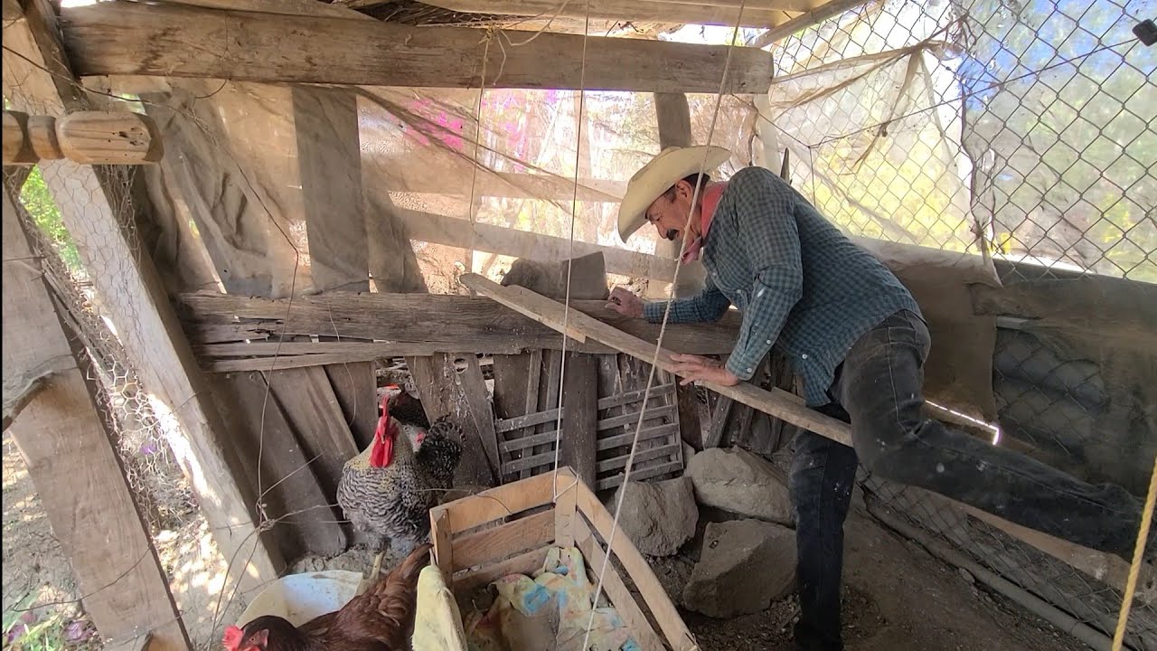 Miren A las que  me dan  de comer A diario 