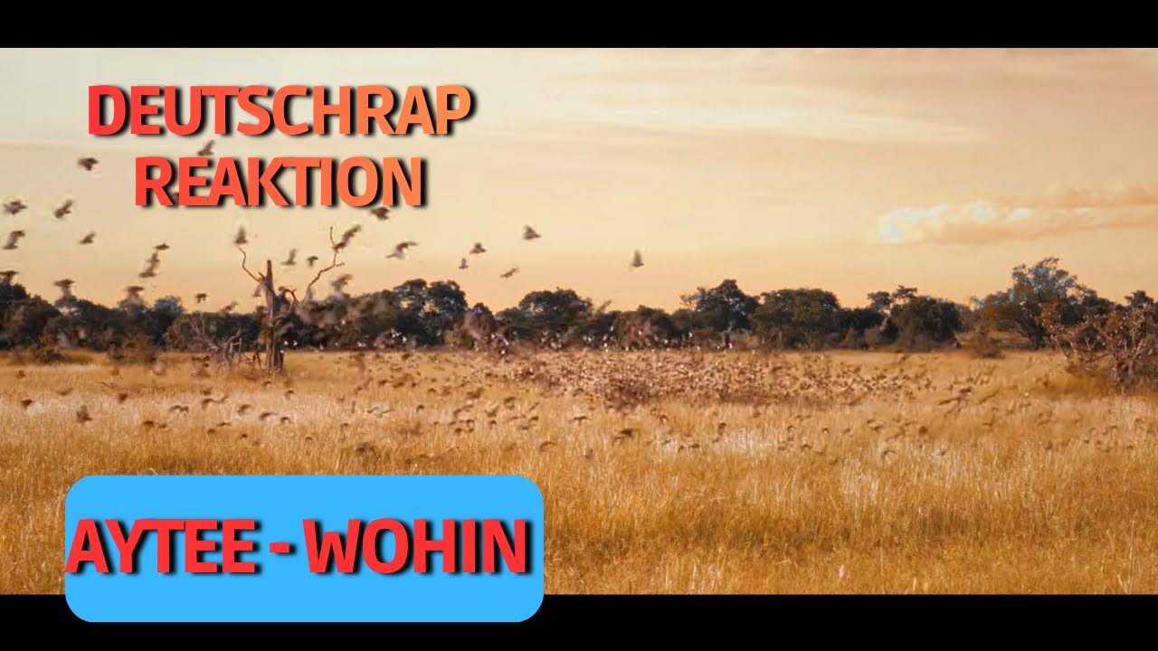 ICH reagiere auf AYTEE - WOHIN