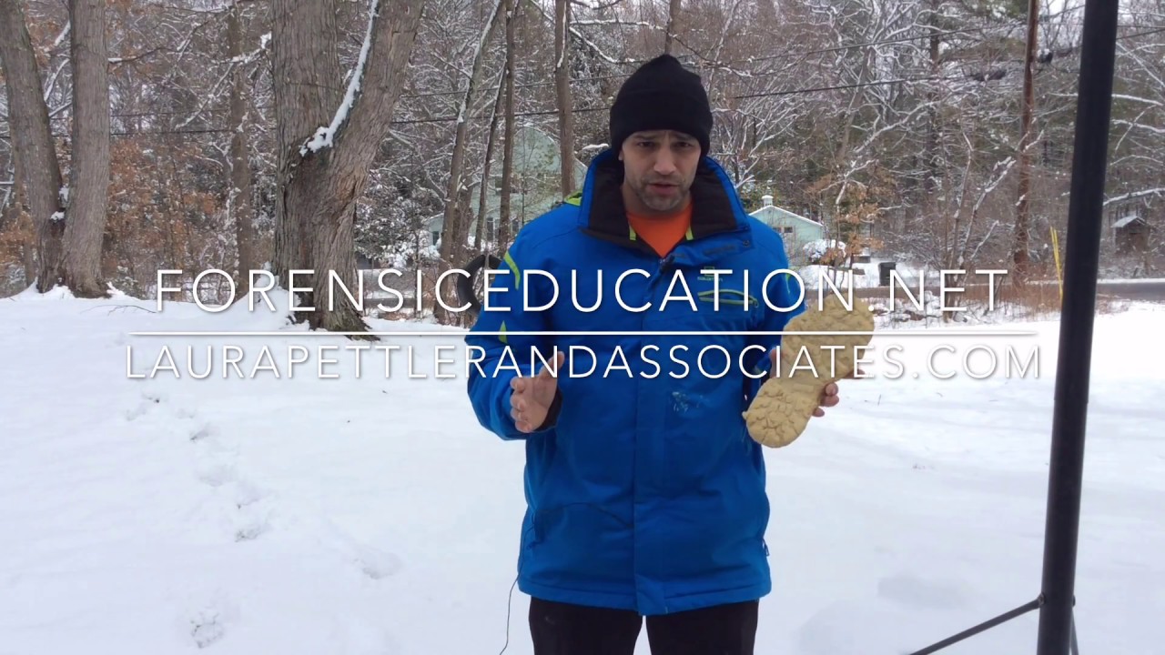 Foot Impressions in Snow - Snow Prints