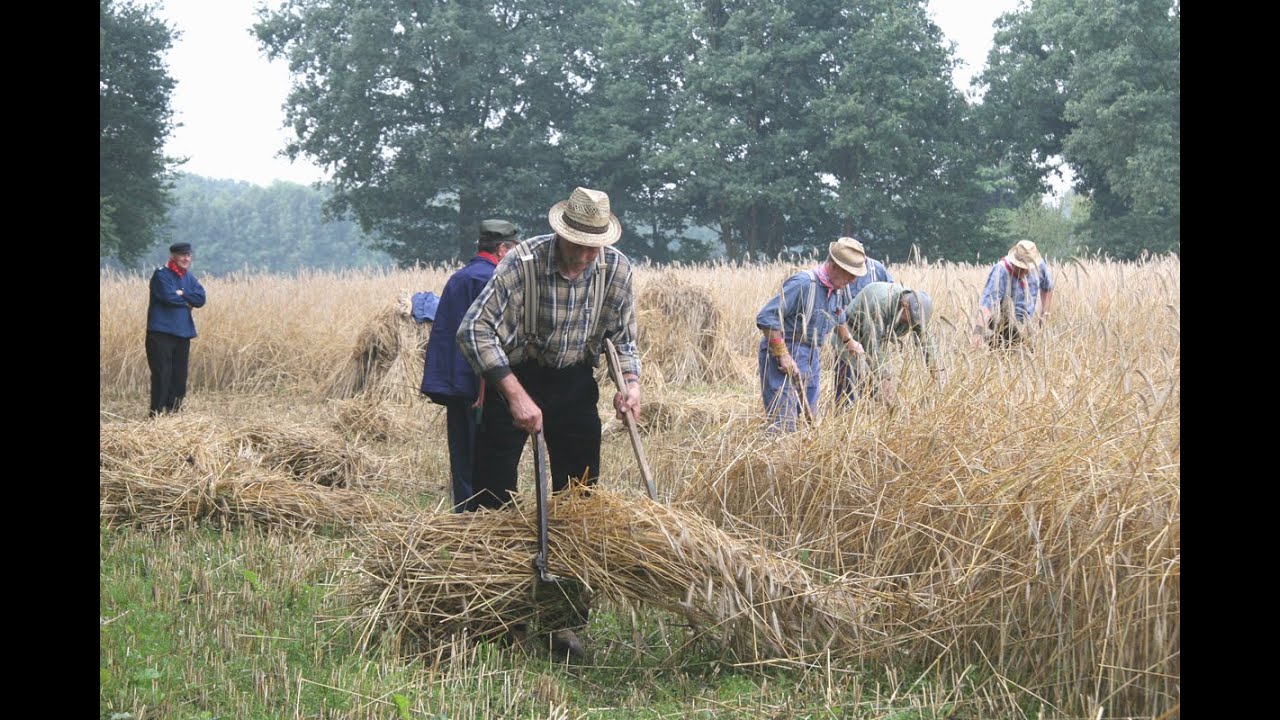 Oogstfeesten, slachtvisites en dorsen bij Landgoed Eppink, Aalten van 2005    2009